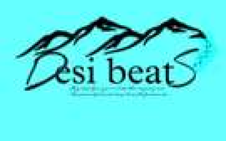 Desi Beats Private Limited