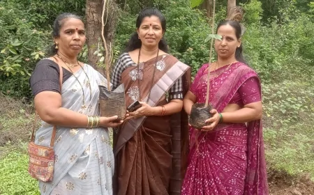 समाज सेविका गीतांजलि जाधव ( दीदी ) के नेतृत्व में सफल हुवा पर्यावरण दिवस,