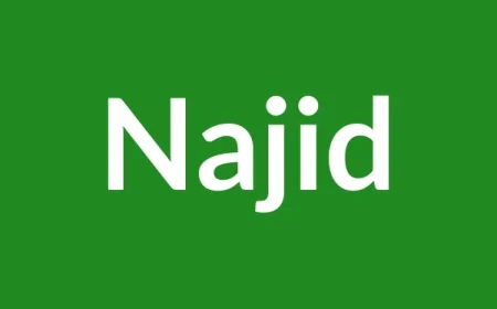 Najid Name Meaning in English