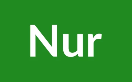 Nur Name Meaning in English