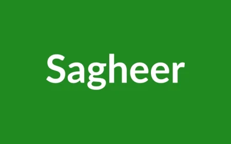 Sagheer Name Meaning in English