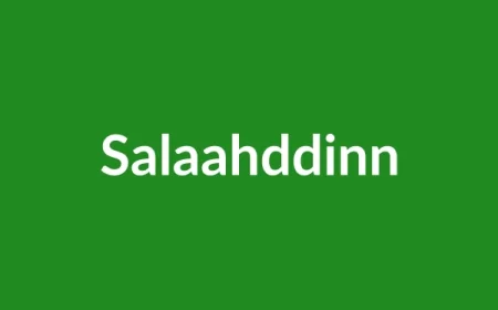 Salaahddinn Name Meaning in English