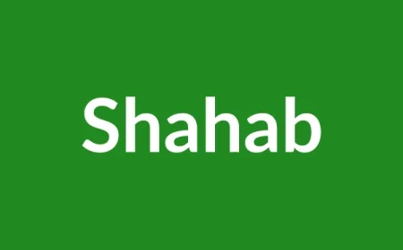 Shahab Name Meaning in English
