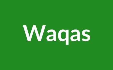 Waqas Name Meaning in English