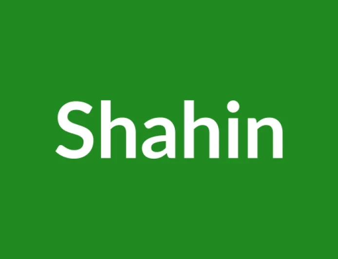 Shahin Name Meaning in English