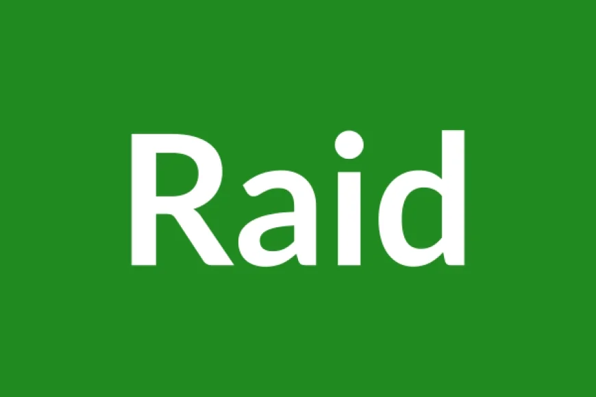Raid Name Meaning in English