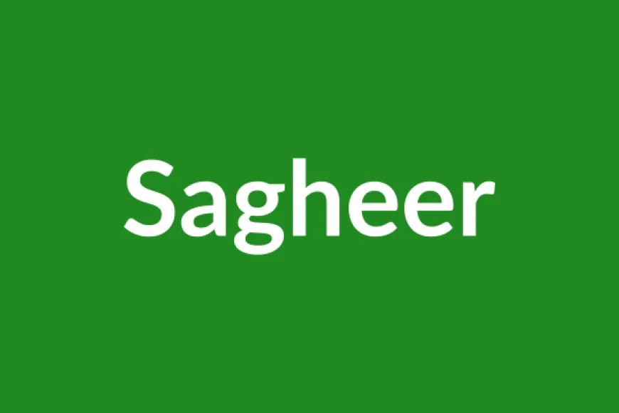 Sagheer Name Meaning in English