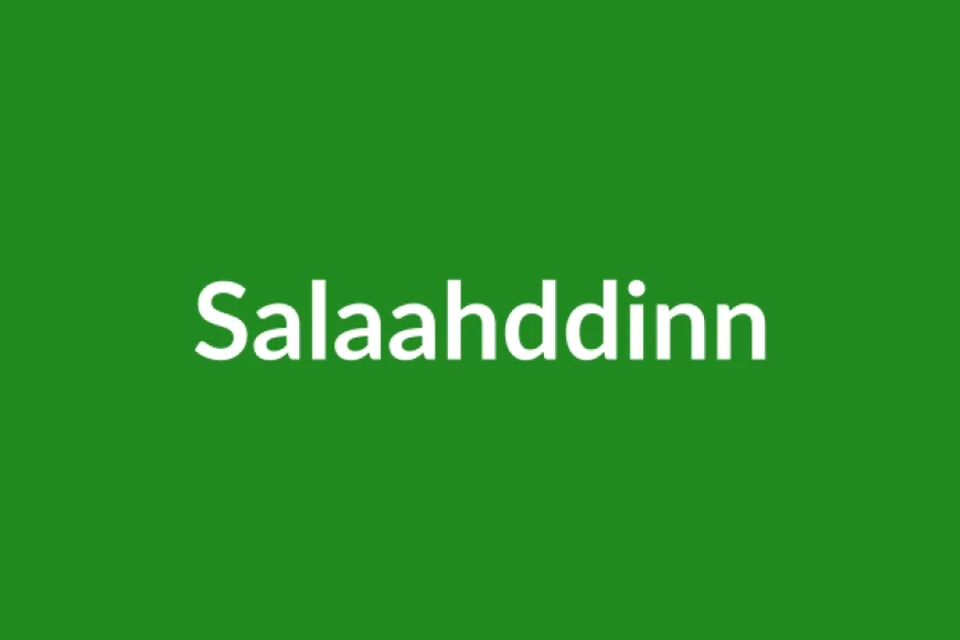 Salaahddinn Name Meaning in English
