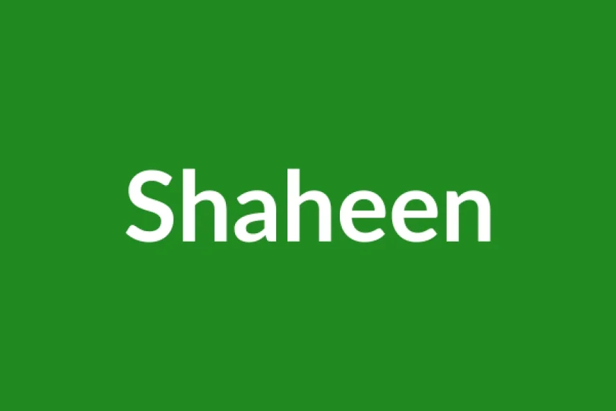 Shaheen Name Meaning in English