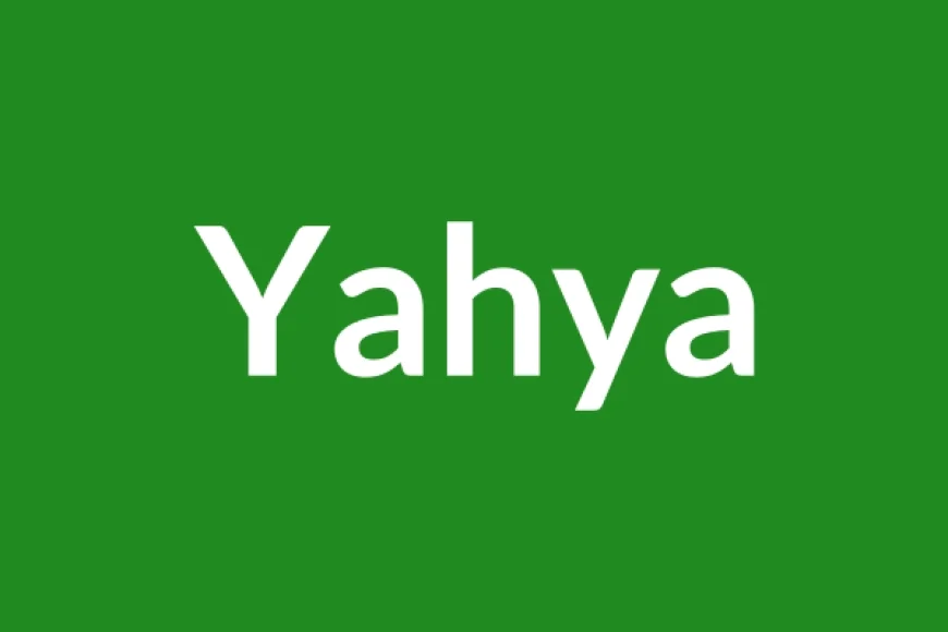 Yahya Name Meaning in English